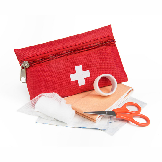 Travel Mini First Aid Kit